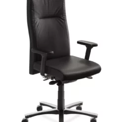 Mayer-sitzmobel Mayer Sitzmöbel, Drehstuhl XXL 2298, Schwarz, 2298_26507 -Vidaxl Verkäufe 06845aa2 5517 4a27 9f62 e8109ba6c27f