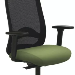 Mayer-sitzmobel Mayer Sitzmöbel, Drehstuhl 2228, Farngrün, 2228_AV3D_SYM++_30613 -Vidaxl Verkäufe 0cc2d31d 8ac2 40ed acd6 9ed1ebf7ad53 scaled