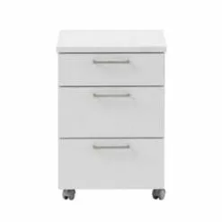 Null Möbelpartner Rollcontainer Hippo | HxBxT 60x40x50 Cm (Höhe Mit Rollen) |Lichtgrau Von PROREGAL -Vidaxl Verkäufe 29895fea 8cf6 4e2d 99f5 97ead5b5f36e