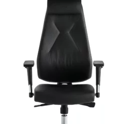 Mayer-sitzmobel Mayer Sitzmöbel, Chefsessel, Schwarz, 2462 -Vidaxl Verkäufe 2dfd4648 c05c 4f49 86b1 4860eab82bdf scaled