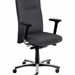 Mayer-sitzmobel Mayer Sitzmöbel, Drehstuhl XXL 2298, Schwarz, 2298_26507 -Vidaxl Verkäufe 382fb779 5b11 4d52 8a2b 4e468b83c688 scaled