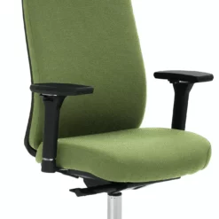 Mayer-sitzmobel Mayer Sitzmöbel, Drehstuhl 2229, Farngrün, 2229_AV4D_KS_SYM++_XXL_ROB_30613