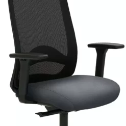 Mayer-sitzmobel Mayer Sitzmöbel, Drehstuhl 2228, Grau, 2228_AV1D_SYM++_30614 -Vidaxl Verkäufe 464a2a93 769e 45db bfd9 c287ad562d5f 2 scaled