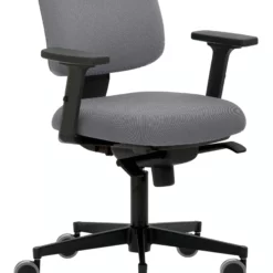 Mayer-sitzmobel Mayer Sitzmöbel, Drehstuhl 2293, Grau, 2293_AV2D_ROG_30614