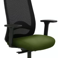 Mayer-sitzmobel Mayer Sitzmöbel, Drehstuhl 2228, Farngrün, 2228_AV3D_SYM++_30613 -Vidaxl Verkäufe 550e29ff 6aa5 4ac3 9fd1 321b1c7555d4 1 scaled