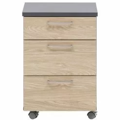 Null Möbelpartner Rollcontainer Hippo | HxBxT 60x40x50 Cm (Höhe Mit Rollen) |Anthrazit Von PROREGAL -Vidaxl Verkäufe 697cd8cc 5d9b 4a44 bcfa ae47da2aa51f 3 scaled