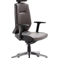 Mayer-sitzmobel Mayer Sitzmöbel, Drehstuhl 2480, Braun, 2480_BS_ROG_81005