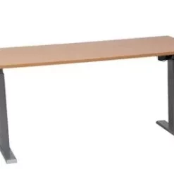 PROREGAL Elektrisch Höhenverstellbarer Schreibtisch Zebra | HxBxT 70-116x140x80 Cm | Silber-Buche -Vidaxl Verkäufe afb08a0d 6396 434a 868e e368fdfe607f