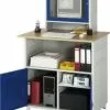 Null PC-Schrank, HxBxT 1810x1100x800mm, Monitorfach, 2 Fächer, Schrank, Korpus RAL7035, Front RAL5010, Platte Buche -Vidaxl Verkäufe b5b14b24 8055 410a 86e2 59f071d0095b 2