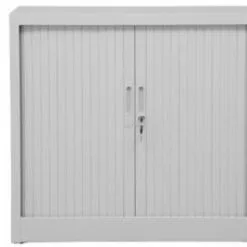 PROREGAL Rollladenschrank Weasel | 2 Ordernhöhen | HxBxT 75x80x46 Cm | Grau