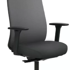 Mayer-sitzmobel Mayer Sitzmöbel, Drehstuhl 2229, Grau, 2229_AV3D_SYM++_30614 -Vidaxl Verkäufe da5c25f0 2825 4f52 a64f e525966fe3e1 scaled