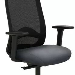 Mayer-sitzmobel Mayer Sitzmöbel, Drehstuhl 2228, Grau, 2228_AV1D_KS_SYM++_30614 -Vidaxl Verkäufe e95b7363 9bac 4066 901d 992bcfa5b3e5 scaled