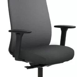 Mayer-sitzmobel Mayer Sitzmöbel, Drehstuhl 2229, Grau, 2229_AV3D_SYM++_30614 -Vidaxl Verkäufe ea9194cb 4ba8 4341 b73b d7158974a74b scaled