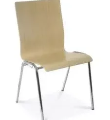 Null Holzschalenstuhl, 4-Fuß Rundrohr Verchromt, Sitzschale Buche, Rückenform Tailliert -Vidaxl Verkäufe ebf82b69 8006 47dd bd4b 20ba8ff989c4