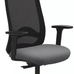 Mayer-sitzmobel Mayer Sitzmöbel, Tresen-Drehstuhl 2295, Grau, 2295_30614 -Vidaxl Verkäufe ee8a9b7e d06b 418c 861d 781f8e090568 4 scaled