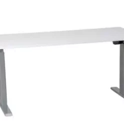 PROREGAL Elektrisch Höhenverstellbarer Schreibtisch Zebra | HxBxT 70-116x160x80 Cm | Silber-Weiß -Vidaxl Verkäufe eeeff017 a704 458b 92dc 3bbf207ea56b 1