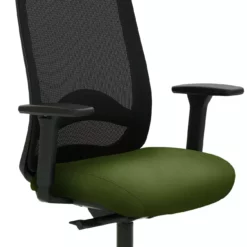 Mayer-sitzmobel Mayer Sitzmöbel, Drehstuhl 2219, Farngrün, 2219_AV3D_30613 -Vidaxl Verkäufe f5d096dc 877d 4ec7 ab23 0c74c3632e8f 1 scaled